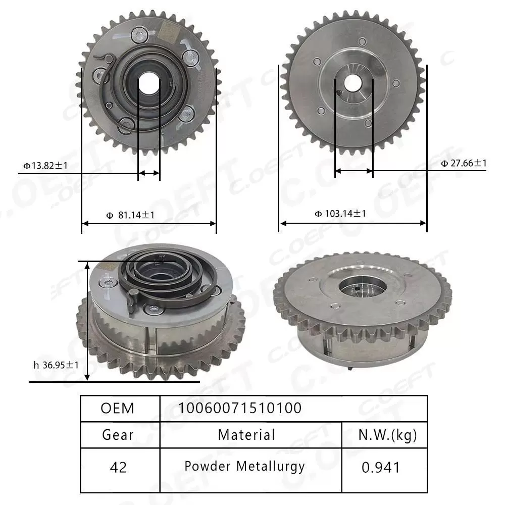 For Trumpchi Timing Gear 10060071510100