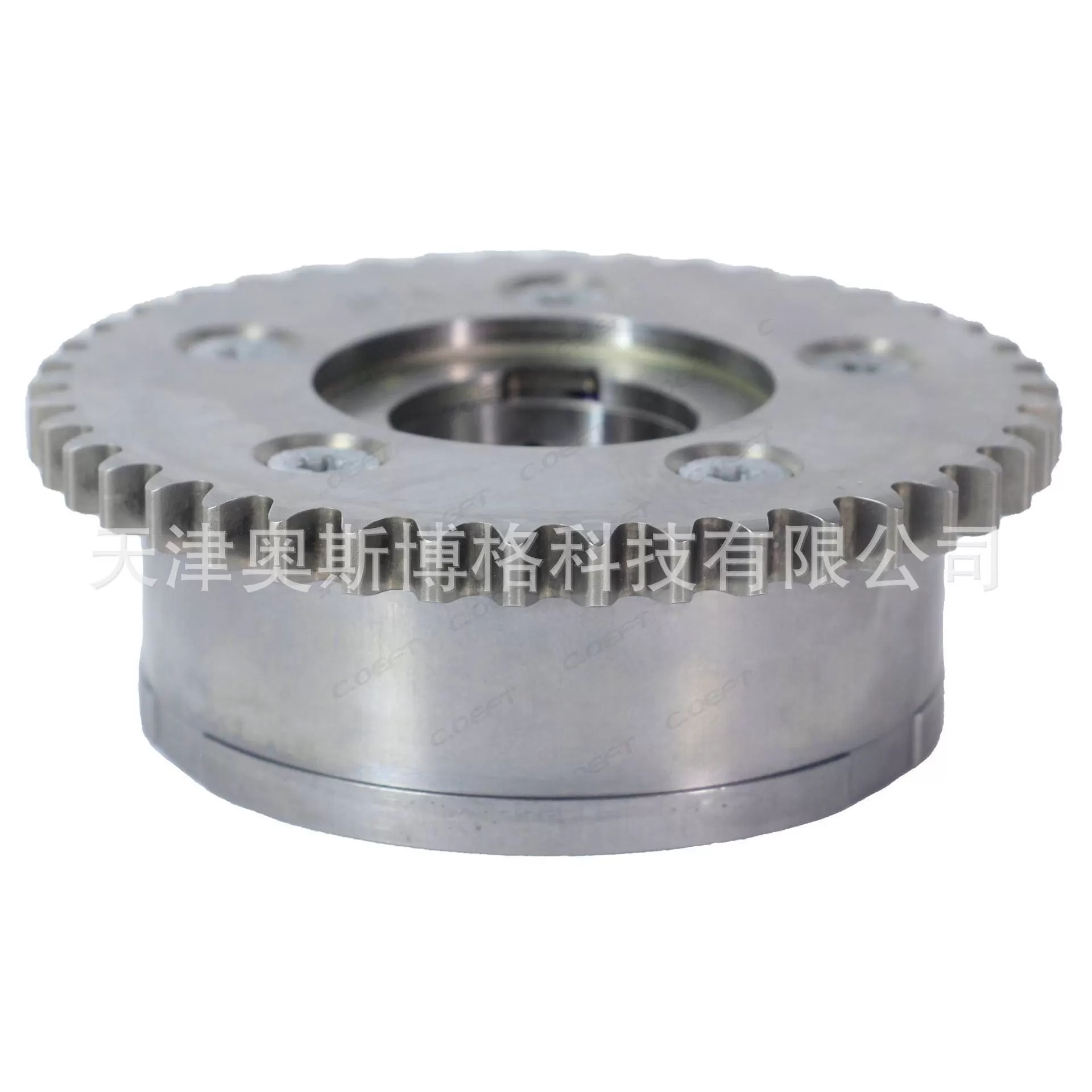 For Chery 4G16 Camshaft Adjuster E4G16-1006040BB