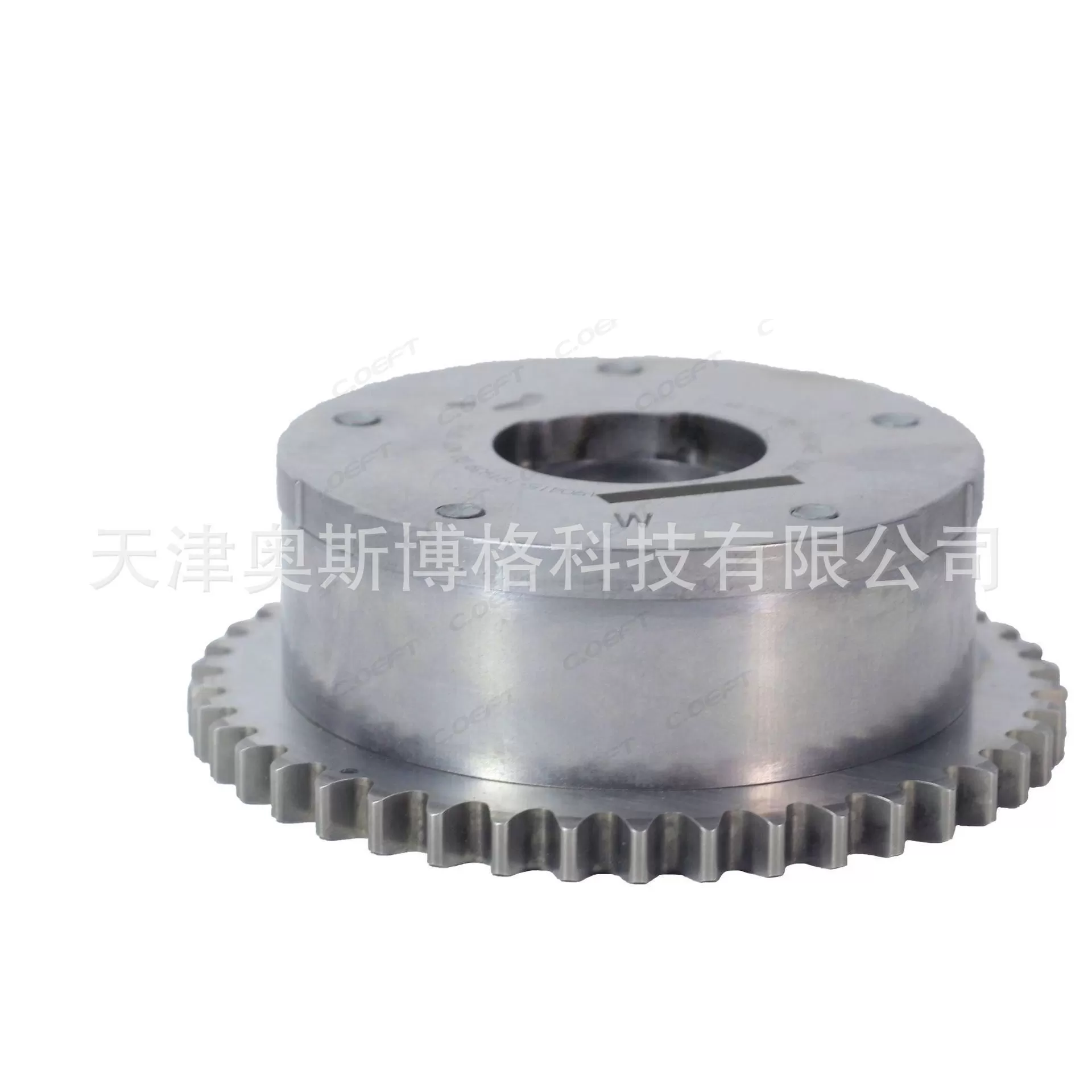 For Chery 4G16 Camshaft Adjuster E4G16-1006040BB