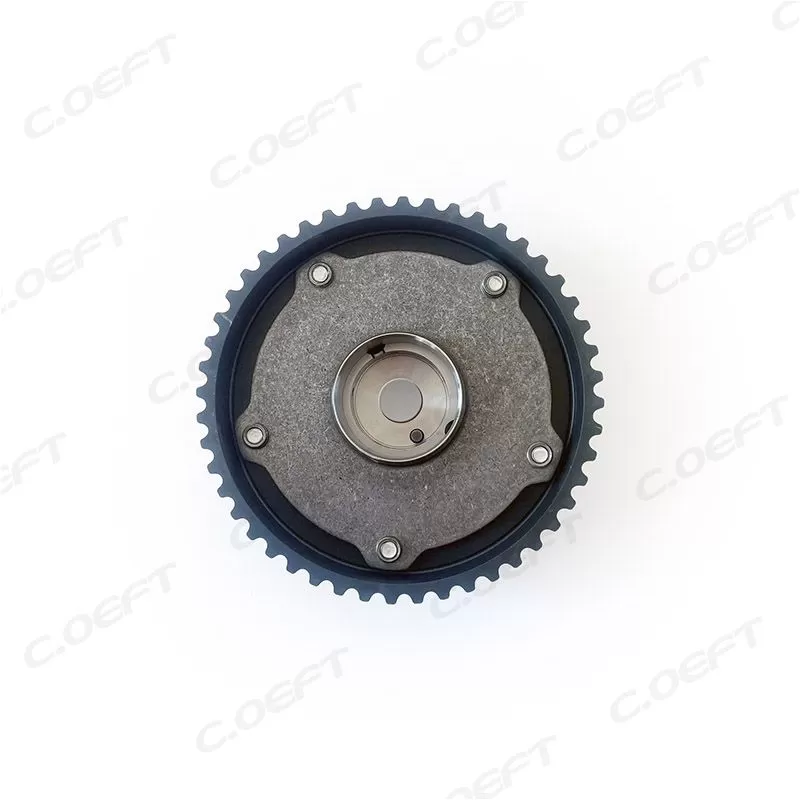 For JAC M4 2.0 VVT Timing Gear 1007301GD150 F-347888.01